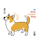 Long Tail Corgi (Multilingual)（個別スタンプ：31）