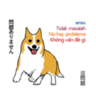 Long Tail Corgi (Multilingual)（個別スタンプ：32）