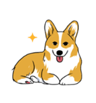 Long Tail Corgi (Multilingual)（個別スタンプ：33）