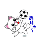 しろ猫のサッカー（個別スタンプ：15）