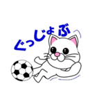 しろ猫のサッカー（個別スタンプ：17）