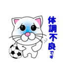 しろ猫のサッカー（個別スタンプ：24）