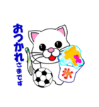 しろ猫のサッカー（個別スタンプ：27）