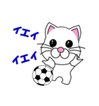 しろ猫のサッカー（個別スタンプ：31）