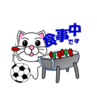 しろ猫のサッカー（個別スタンプ：36）