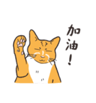Power Button Cat（個別スタンプ：12）
