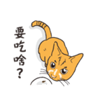 Power Button Cat（個別スタンプ：17）