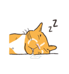 Power Button Cat（個別スタンプ：24）