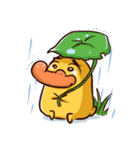 Duck Cale（個別スタンプ：27）