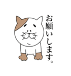 眉猫。（個別スタンプ：17）