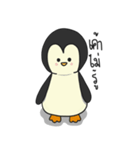 Penguin "maan-tool"（個別スタンプ：16）