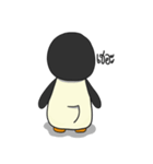 Penguin "maan-tool"（個別スタンプ：24）