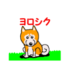 日本 柴犬 14（個別スタンプ：1）
