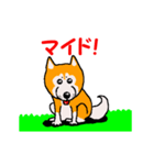 日本 柴犬 14（個別スタンプ：2）