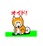 日本 柴犬 14（個別スタンプ：3）