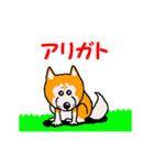 日本 柴犬 14（個別スタンプ：4）