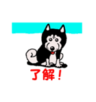 日本 柴犬 14（個別スタンプ：5）