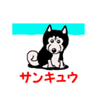 日本 柴犬 14（個別スタンプ：8）
