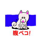 日本 柴犬 14（個別スタンプ：12）