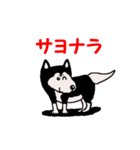 日本 柴犬 14（個別スタンプ：19）