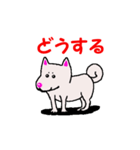 日本 柴犬 14（個別スタンプ：23）