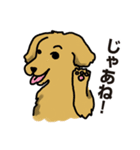 大型犬アワーズ2（個別スタンプ：30）