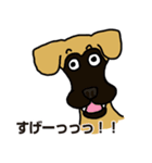 大型犬アワーズ2（個別スタンプ：36）