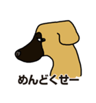 大型犬アワーズ2（個別スタンプ：37）