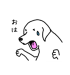 犬っす（個別スタンプ：3）