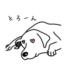 犬っす（個別スタンプ：10）