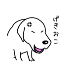 犬っす（個別スタンプ：12）