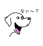 犬っす（個別スタンプ：13）