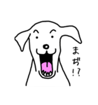 犬っす（個別スタンプ：14）