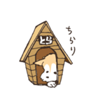 神戸カフェ犬とらきち（個別スタンプ：12）