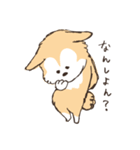 神戸カフェ犬とらきち（個別スタンプ：21）