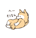 神戸カフェ犬とらきち（個別スタンプ：38）