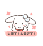 Two-sided Rabbit Dialog box（個別スタンプ：3）