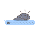 Two-sided Rabbit Dialog box（個別スタンプ：21）