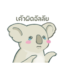 Bad luck Koala（個別スタンプ：1）