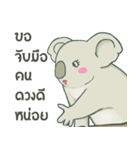 Bad luck Koala（個別スタンプ：5）