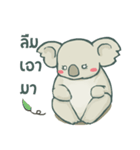 Bad luck Koala（個別スタンプ：12）