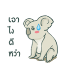 Bad luck Koala（個別スタンプ：13）