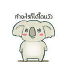 Bad luck Koala（個別スタンプ：15）