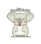 Bad luck Koala（個別スタンプ：16）