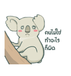 Bad luck Koala（個別スタンプ：23）