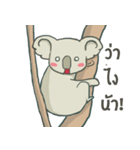 Bad luck Koala（個別スタンプ：28）