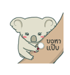 Bad luck Koala（個別スタンプ：31）