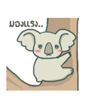 Bad luck Koala（個別スタンプ：34）