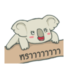 Bad luck Koala（個別スタンプ：35）