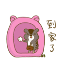 Bunny A-bu ＆ hamster Dodo's happy life 2（個別スタンプ：1）